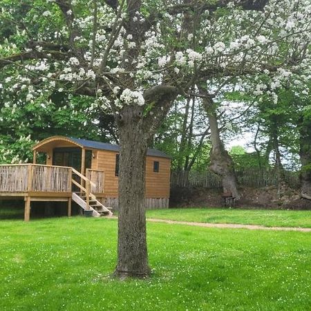 Roulotte Escapade Nature A Morainville - Normandie المظهر الخارجي الصورة